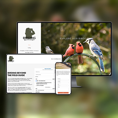 birding beyond the field guide responsive web display