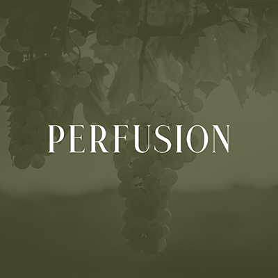 perfusion vineyard