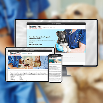 prompt vet services responsive web design display